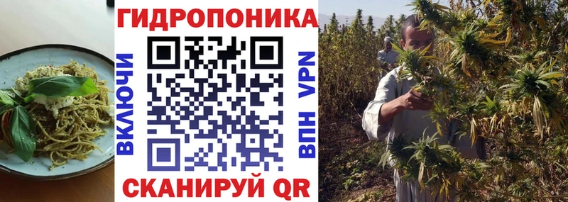 Cannafood конопля Сорочинск