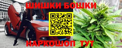 крисы Канаш