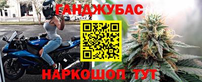 прущие грибы Камышлов