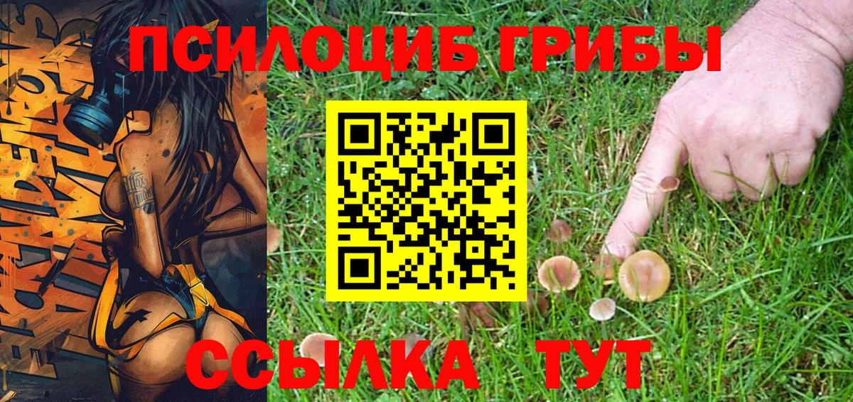 Галлюциногенные грибы Psilocybe Сорочинск