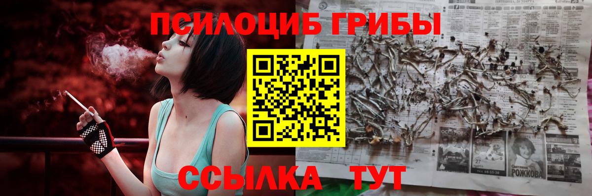 Галлюциногенные грибы прущие грибы  Вход с VPN  Сорочинск 